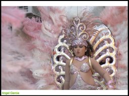 Carnaval de Mula 2014